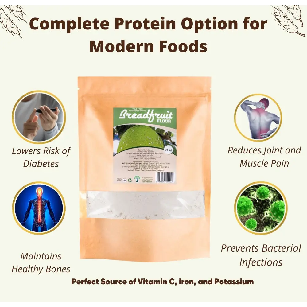 Organic BreadFruit Flour