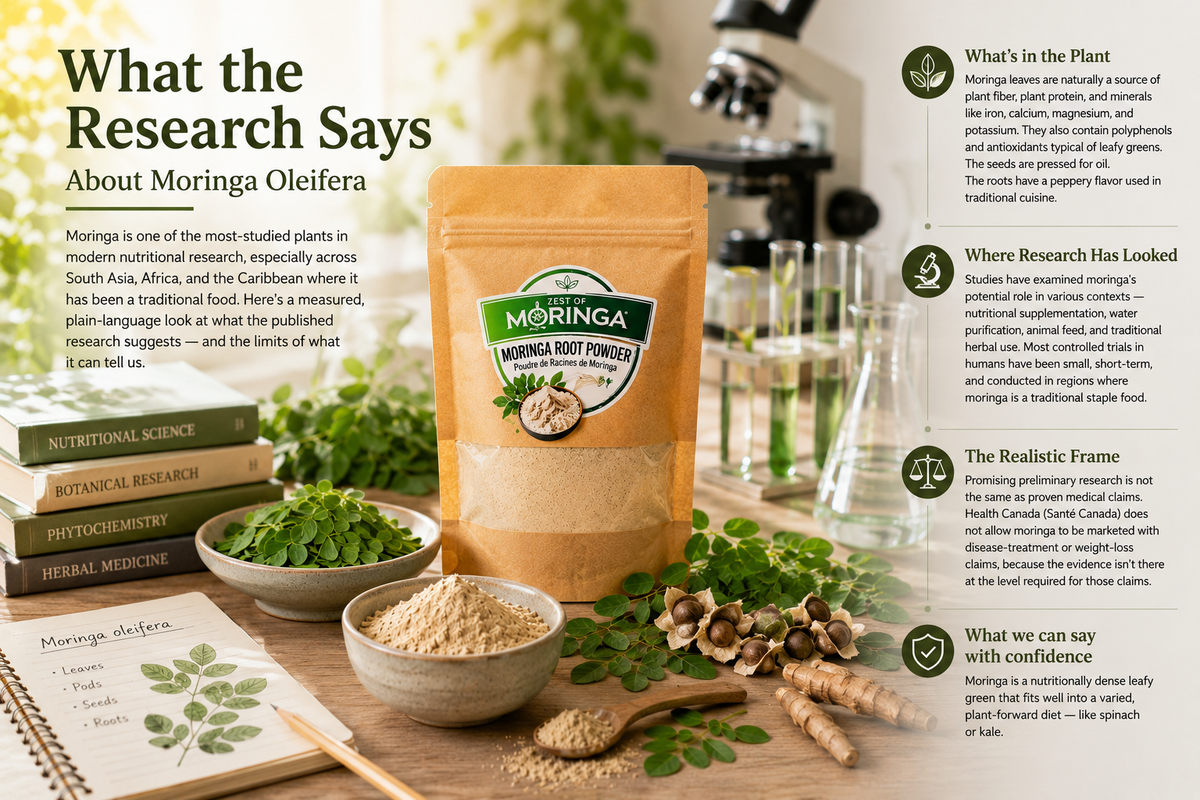 Los beneficios comprobados para la salud de la moringa oleifera: el superalimento definitivo de la naturaleza
