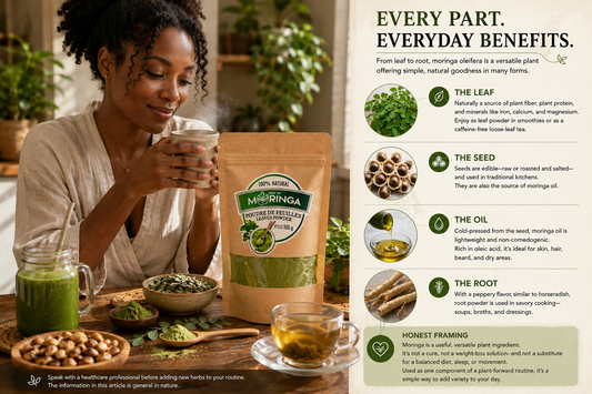 Moringa Benefits: A Practical Look at the Leaf, Seed, and Oil