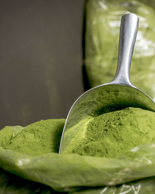 How to Use Moringa for Weight Loss (Real Guide)