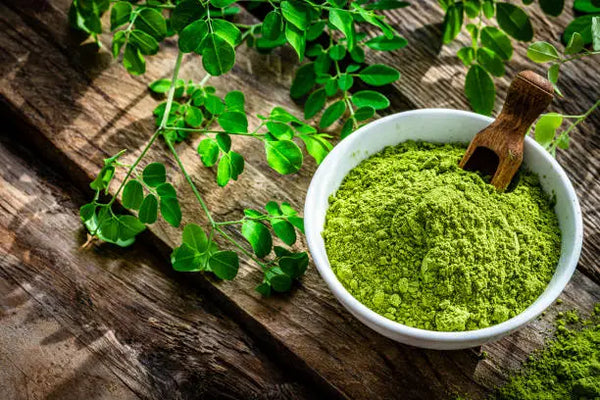 Green Moringa Powder - 4 Benefits You Should Know