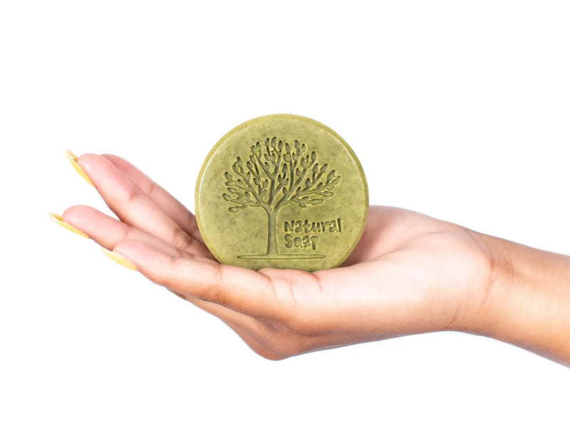 ELABORACIÓN DE JABÓN DE MORINGA CON INGREDIENTES 100% NATURALES
