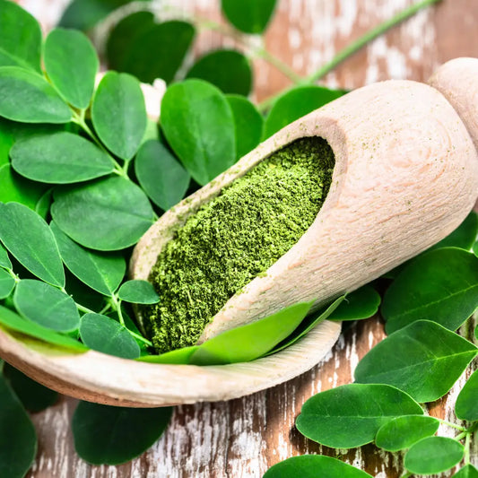 Moringa Powder