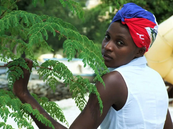 Moringa tree with woman