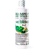 moringa hair shampoo and conditionner